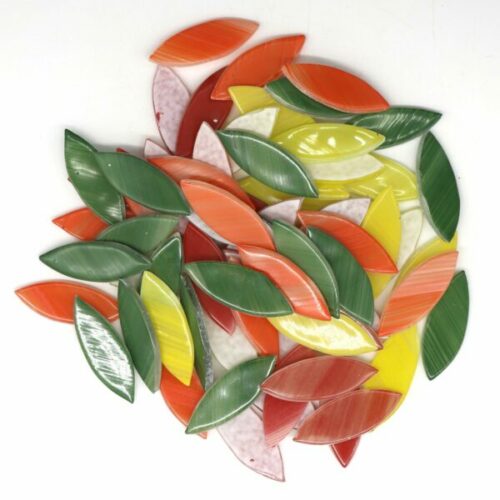 Mix Leaves in Green, Yellow, Red & Orange Brushing Effect  (Pack of 200Gms) photo review